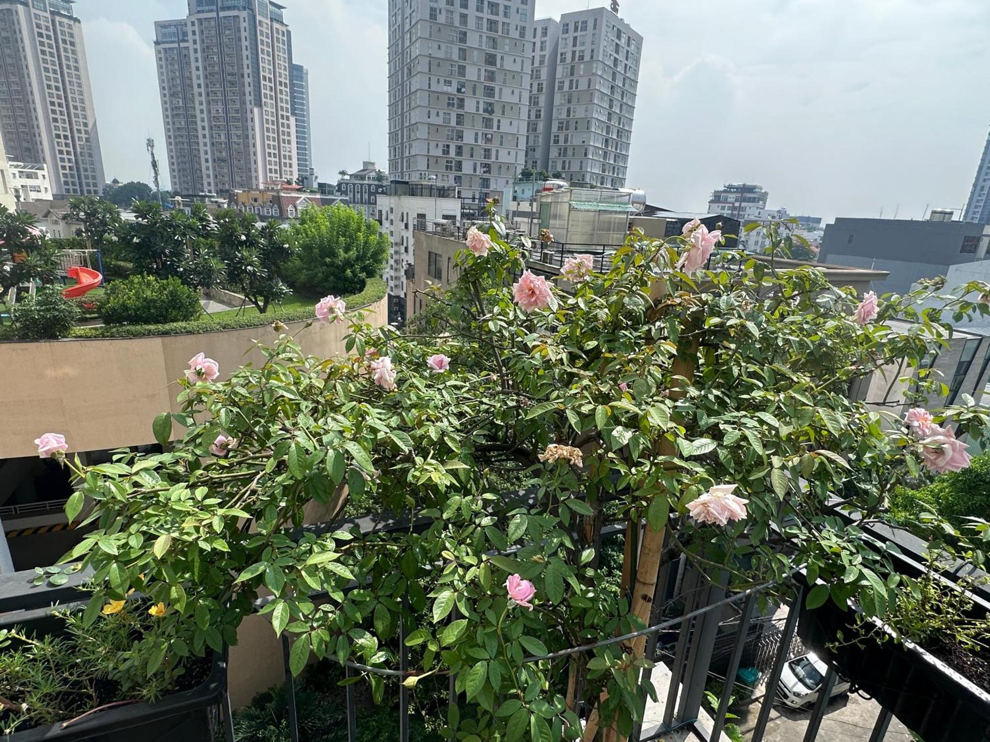 Homey Apartment Ho Si Minh-város Kültér fotó