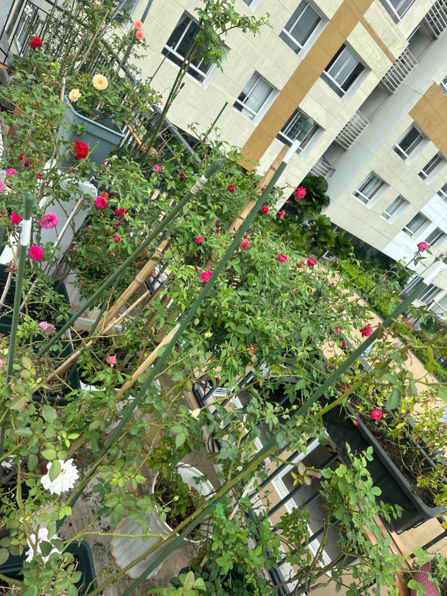 Homey Apartment Ho Si Minh-város Kültér fotó
